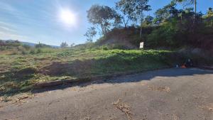 Lote Carmen de Apicala en Tolima Colombia 1